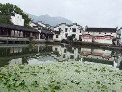 -东梓关景区村庄