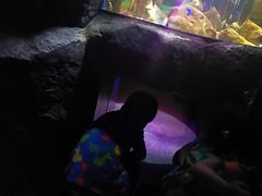 -暹罗海洋世界
