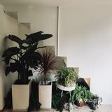 适合两个人坐下来安静聊天，因为被甜点外表迷住