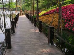 -重庆彩云湖湿地公园