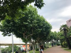 -太阳岛度假酒店