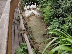 -良渚古城遗址公园