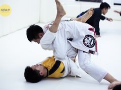 -菠萝格斗巴西柔术训练馆