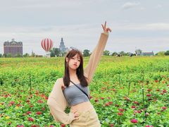 -荷兰花海
