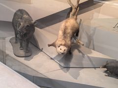 -武汉园博园(武汉自然博物馆)
