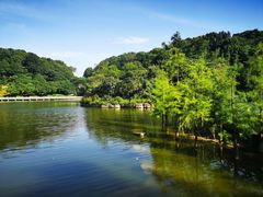 -广州市帽峰山景区