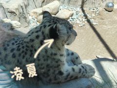 -青藏高原野生动物园