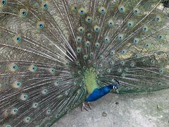 -泉州海丝野生动物世界