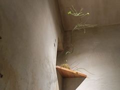 -陶享时光西餐·下午茶(信河街店)