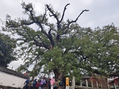 -新安江山水画廊风景区