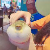 河豚打边炉——品尝《山海经》里的现实版奇兽