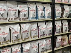 -渲嗳动物医院(异宠·复杂内科转诊中心·玖洲道富华里分院)