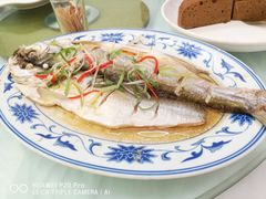 清蒸白水鱼-状元楼(金溪路店)