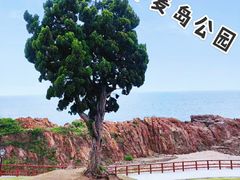 -青岛海滨风景区