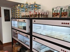 -灵龟之家百象馆(百象馆联合旗舰店)