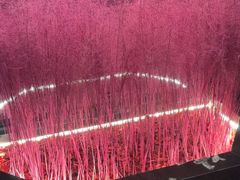 -尚善若水·汤泉·SPA·沐足(东方渔人码头店)