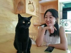 -喵屿·大理花园猫咖