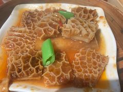 -点都德·毕德寮