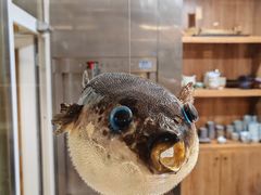 -天正河鲀·河豚亭(大连店)