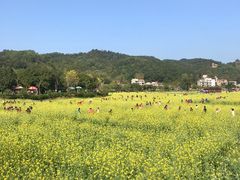 -红山村