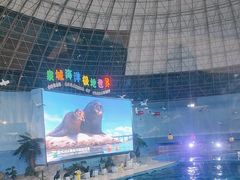 -泉城欧乐堡海洋极地世界
