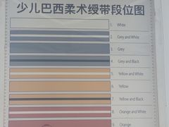 -勇气斑马·巴西柔术&跆拳道(浦东三林店)