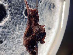 -BABANA烧烤·龙虾·海鲜