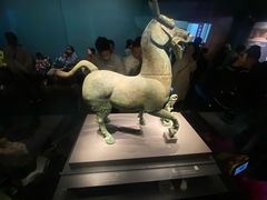 -广西壮族自治区博物馆