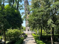 -上海佘山国家森林公园天马山园