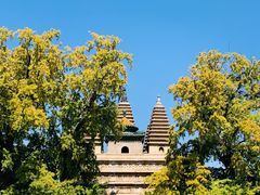 -北京石刻艺术博物馆(五塔寺)
