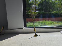 -上海国际旅行卫生保健中心(浦东分中心)