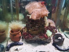 -太平洋海底世界