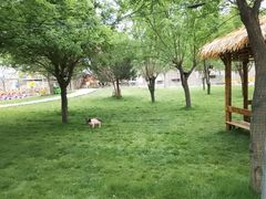 -北京鹿世界主题园