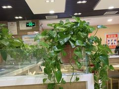 -嘉和一品粥(政府街店)