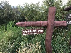 -鬼笑石后山停车场