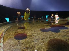 -北戴河圣蓝海洋公园