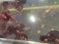 -鸿运兔·手撕烤兔(天府广场店)