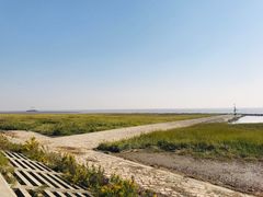 -南汇嘴观海公园