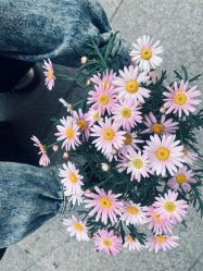 -张仕婚礼·做有温度的婚礼