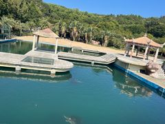 -广东惠东海龟国家级自然保护区