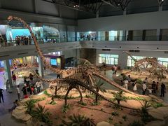 -自贡恐龙博物馆