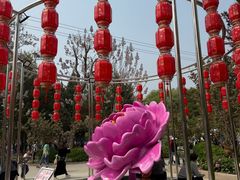 -太阳宫公园
