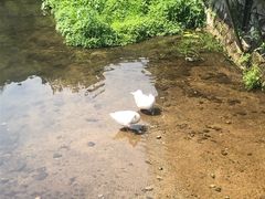 -北京水岸山吧度假村(雁栖镇店)