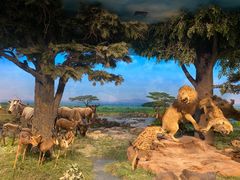 -国家自然博物馆