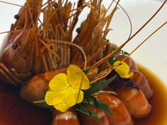 -阿露佳·舌尖上的安吉菜