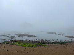 -棒棰岛宾馆景区
