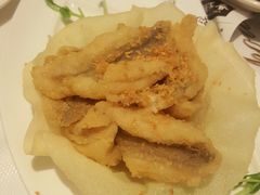 -潮江春(铜锣湾广场店)