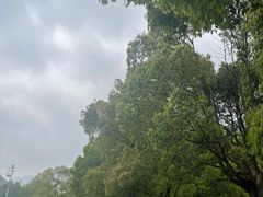 -宁波五龙潭景区