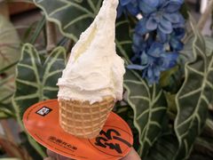 -野人先生Gelato(上海长宁龙之梦店)
