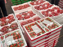 -西郊国际农产品交易中心